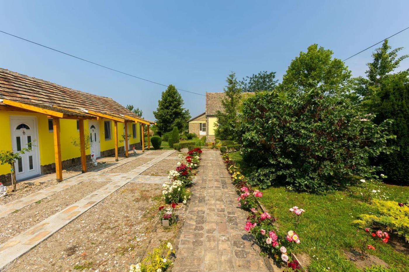 Salas Vujic Bečej Exteriör bild