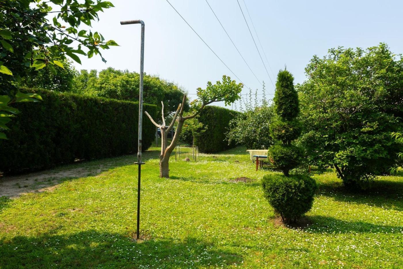 Salas Vujic Bečej Exteriör bild