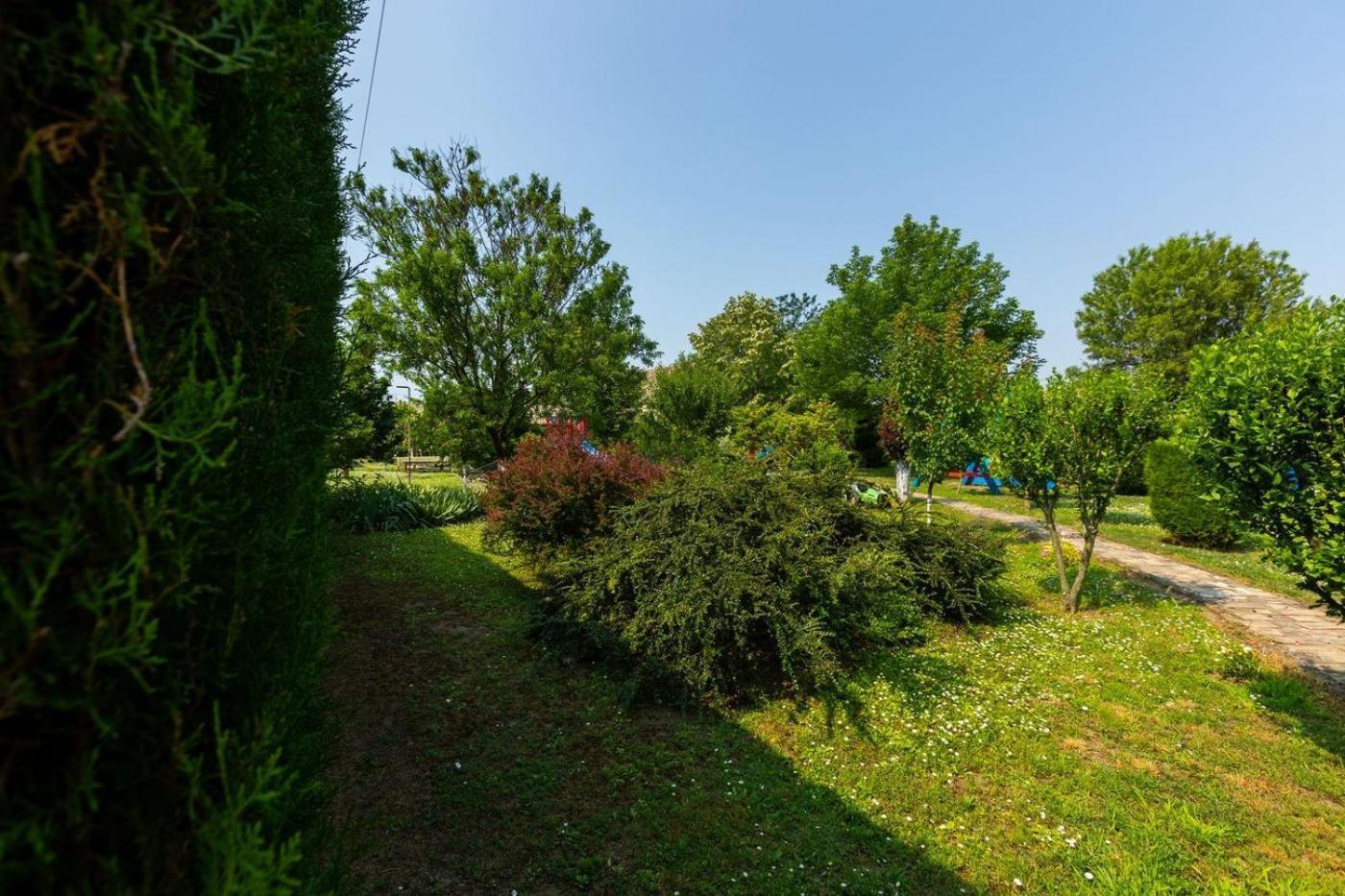 Salas Vujic Bečej Exteriör bild